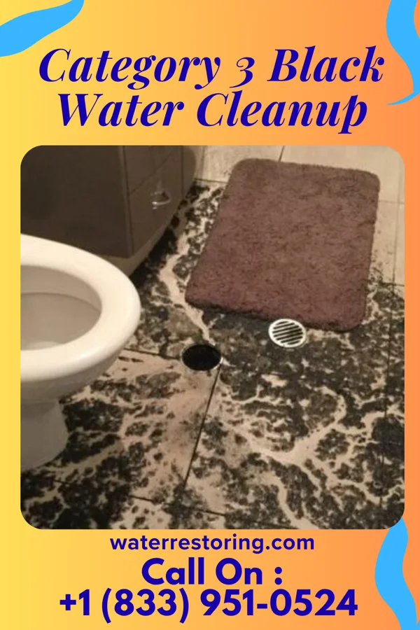 Category 3 Black Water Cleanup in Ray City, GA