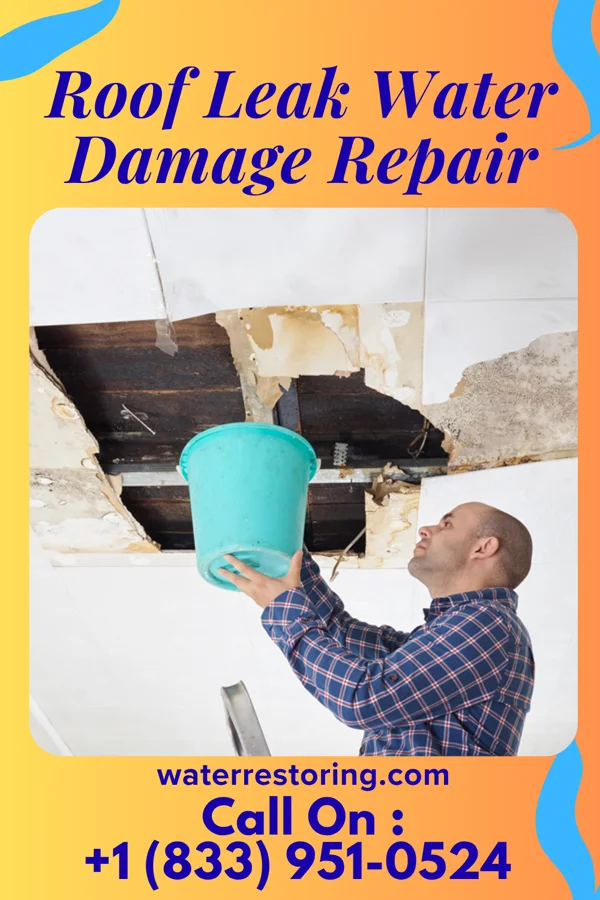 Roof Leak Water Damage Repair in Ray City, GA