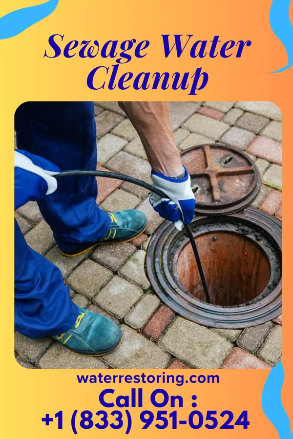Sewage Water Cleanup in Ray City, GA