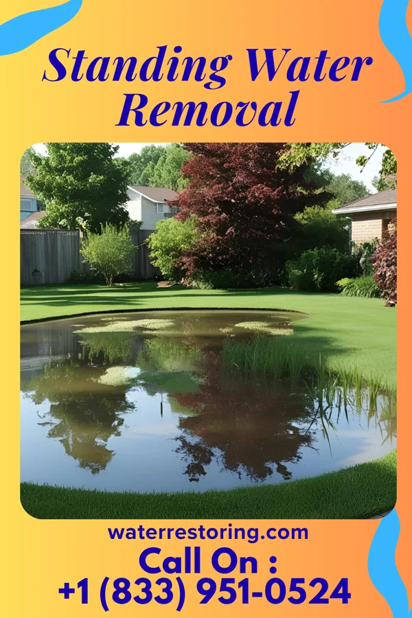 Standing Water Removal in Ray City, GA